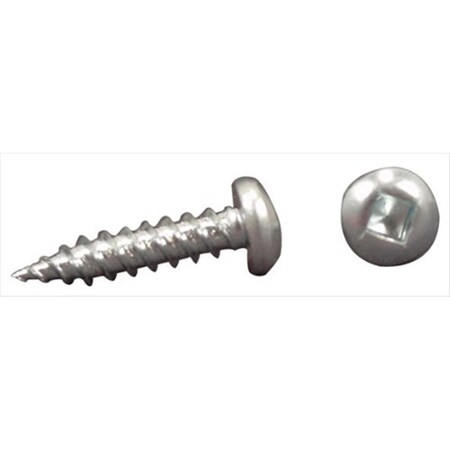 Ap Products AP PRODUCTS PSQ50081 Recess Screw 1 In. - 500 Pack A1W-PSQ50081